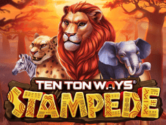 Ten Ton Ways Stampede icon